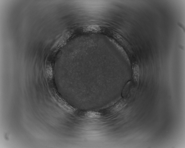 X0000102240617200808081438