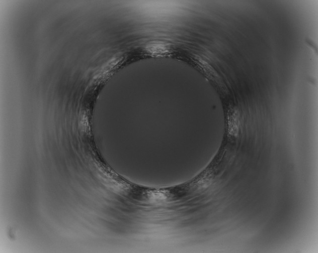 X0000102240618200808081438