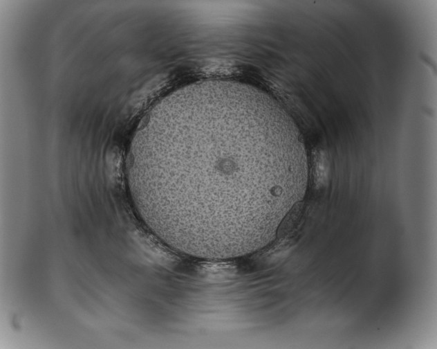 X0000102240619200808081438