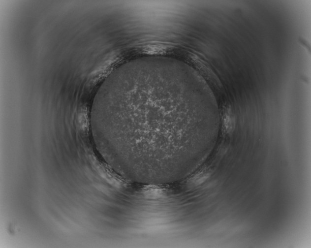 X0000102240620200808081438