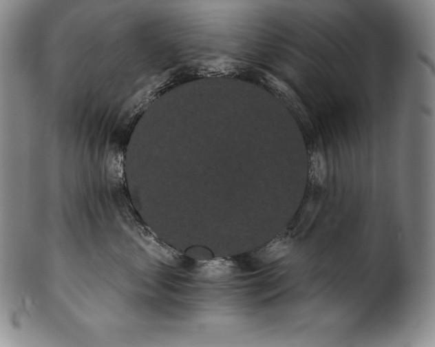 X0000102240621200808081438