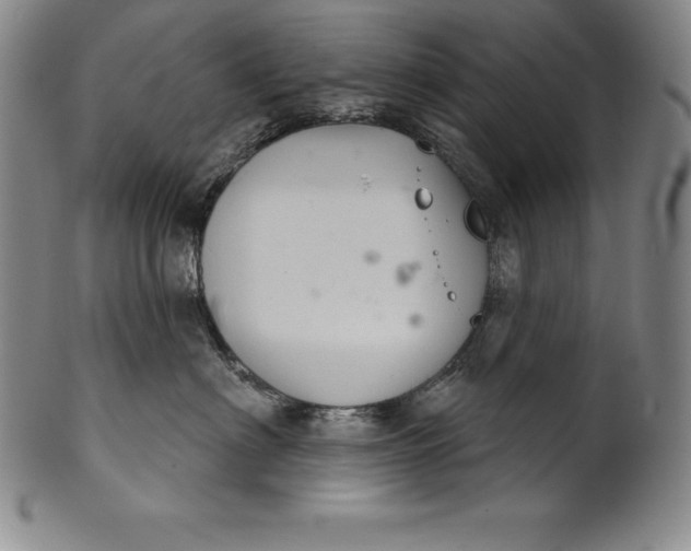 X0000102240622200808081438