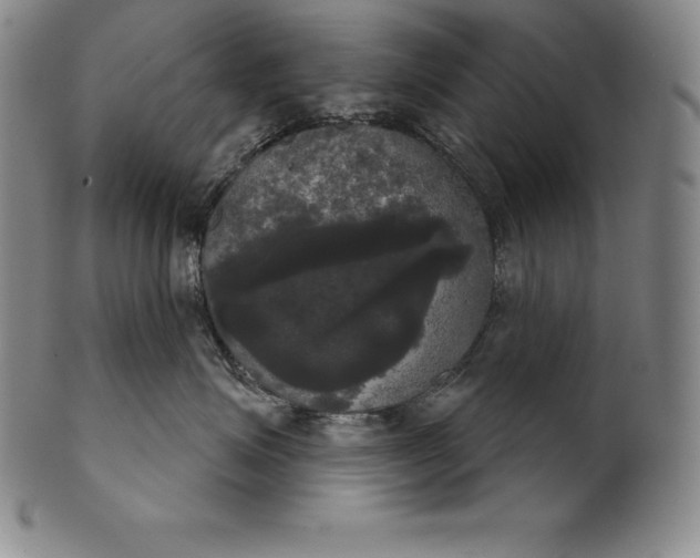 X0000102240623200808081438