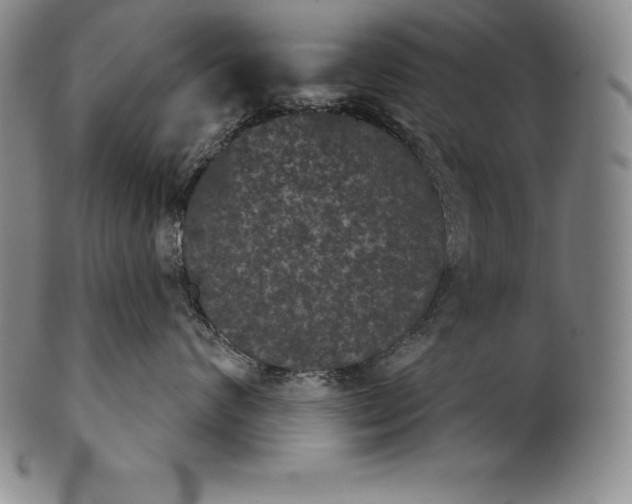 X0000102240624200808081438