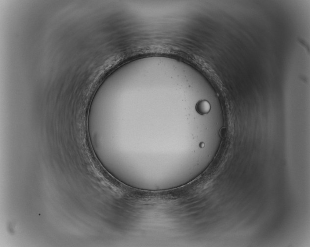 X0000102240625200808081437