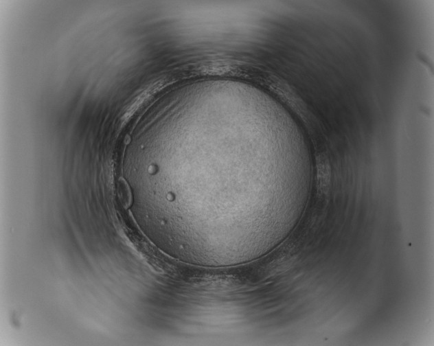 X0000102240626200808081437