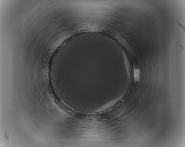 X0000102240627200808081437