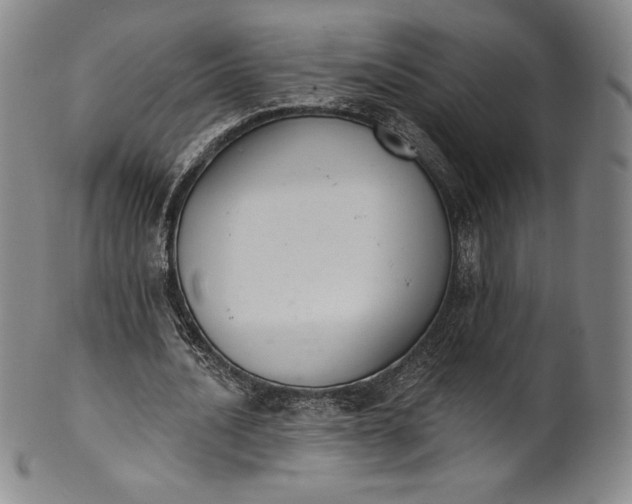 X0000102240628200808081437