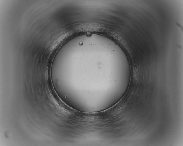 X0000102240629200808081437