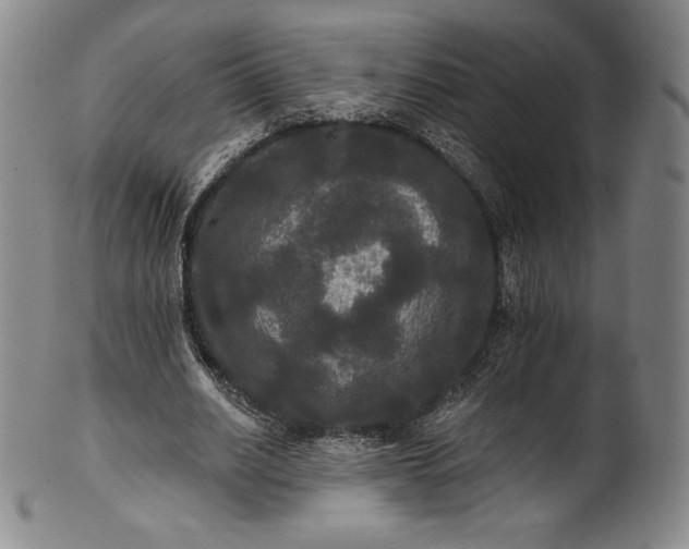 X0000102240630200808081437