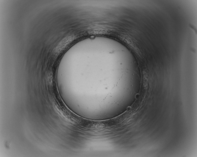 X0000102240631200808081437