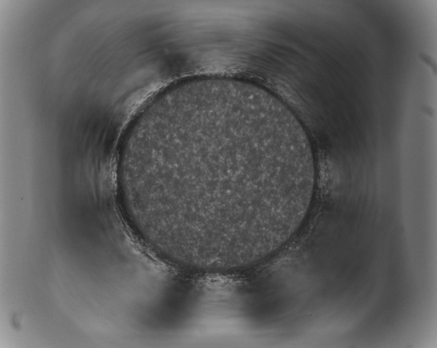 X0000102240632200808081437