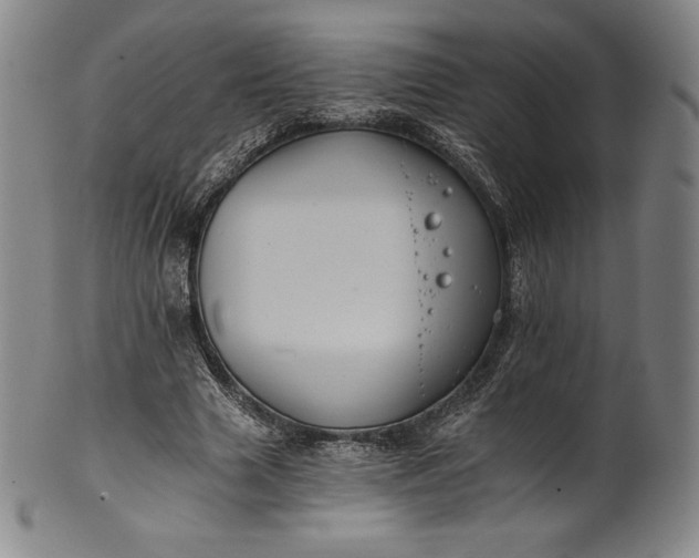 X0000102240633200808081437