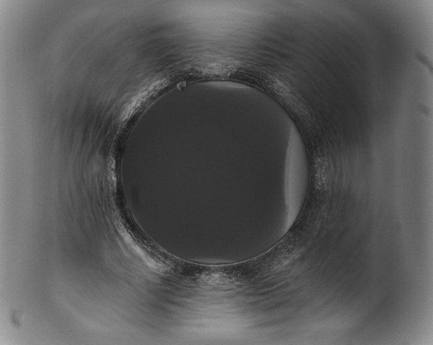 X0000102240634200808081437