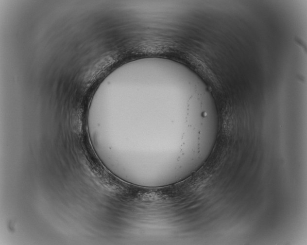 X0000102240635200808081437