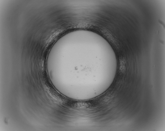 X0000102240636200808081437