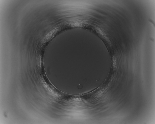 X0000102240637200808081437