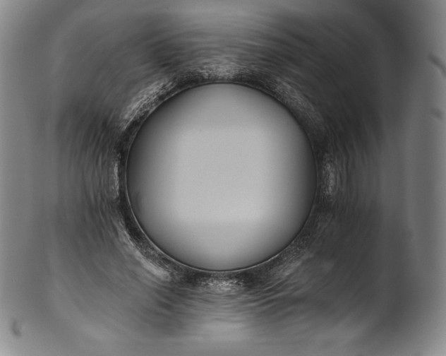 X0000102240638200808081437