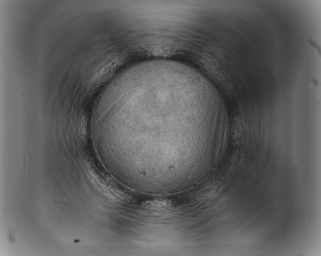 X0000102240639200808081437