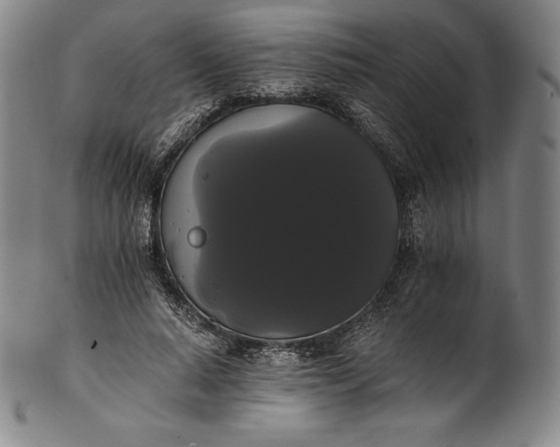 X0000102240640200808081437