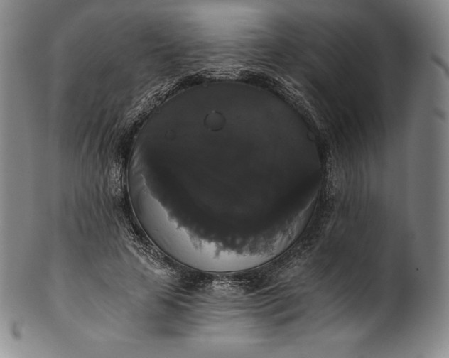 X0000102240641200808081437