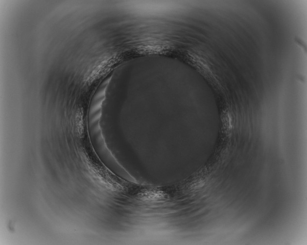 X0000102240642200808081437