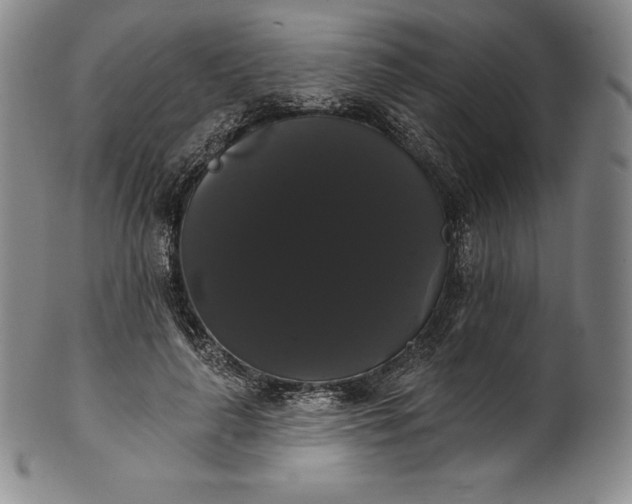 X0000102240643200808081437