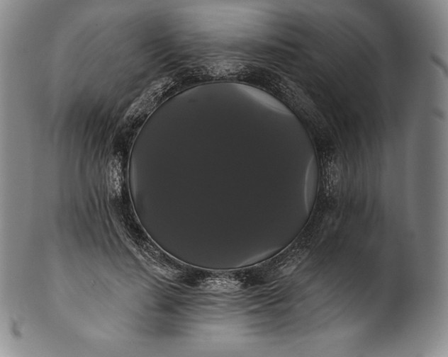 X0000102240644200808081437