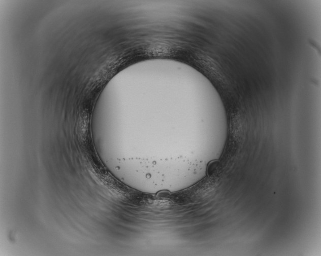 X0000102240645200808081437