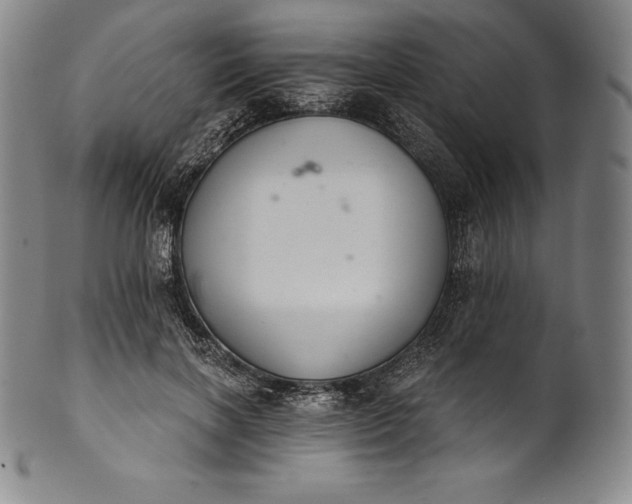 X0000102240646200808081437