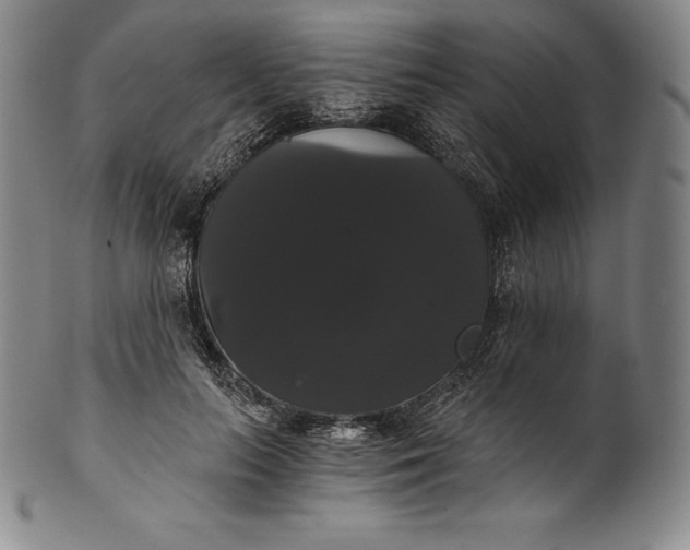 X0000102240647200808081437