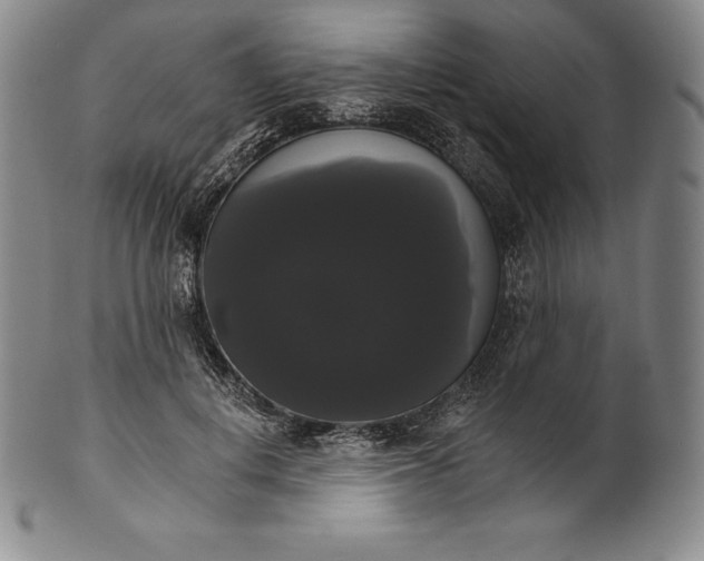 X0000102240648200808081437