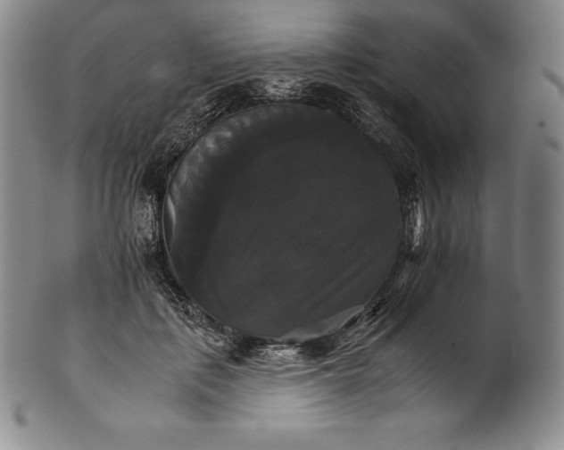 X0000102240651200808081437