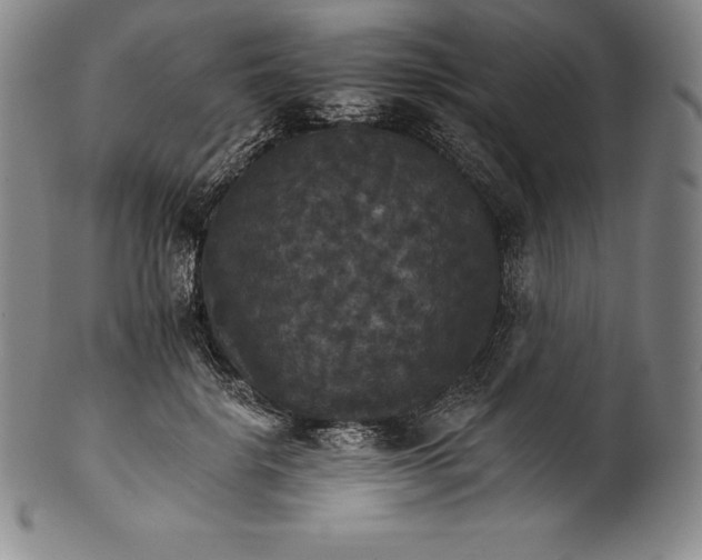 X0000102240652200808081437