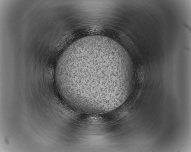 X0000102240654200808081437