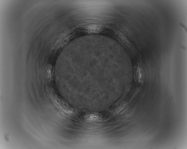 X0000102240655200808081437