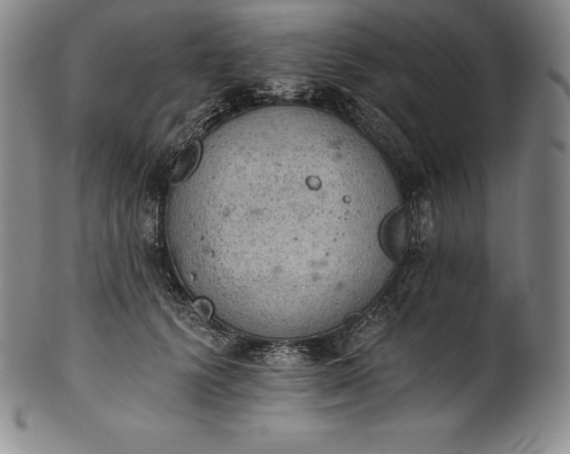 X0000102240656200808081437