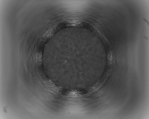 X0000102240657200808081437