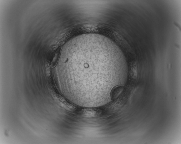 X0000102240658200808081437