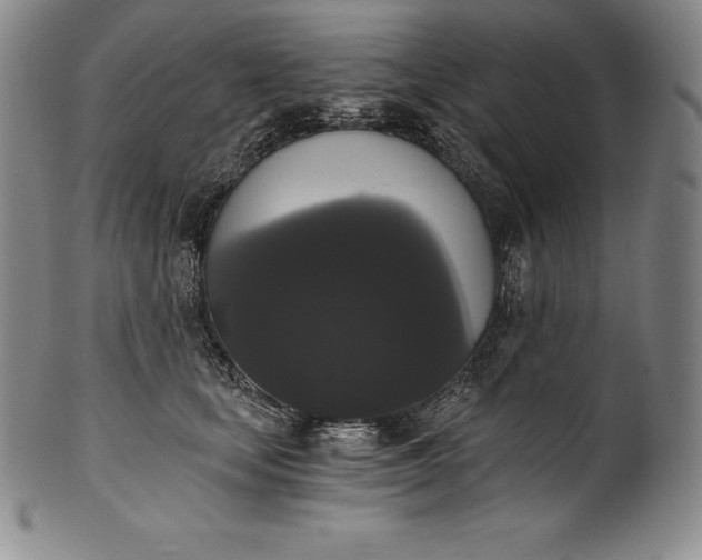 X0000102240659200808081437