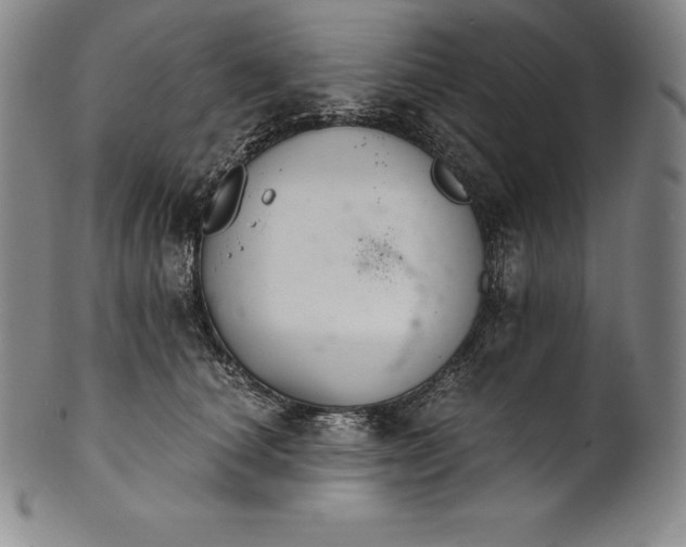 X0000102240660200808081437