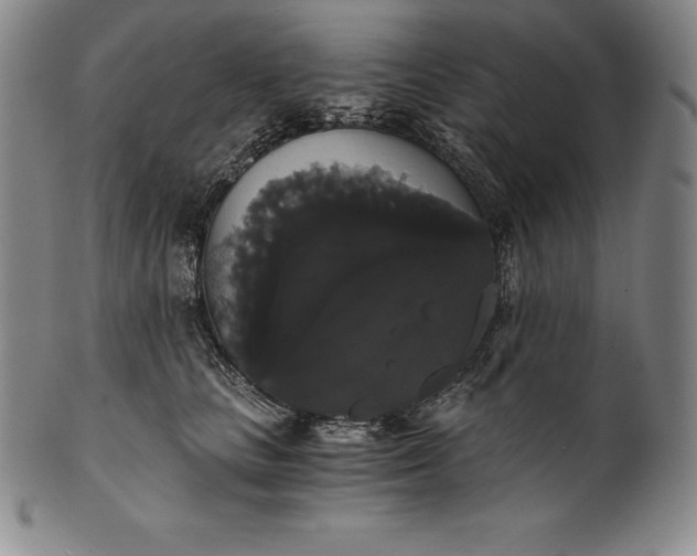 X0000102240661200808081437