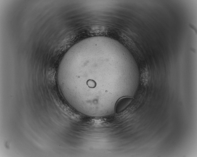 X0000102240662200808081437