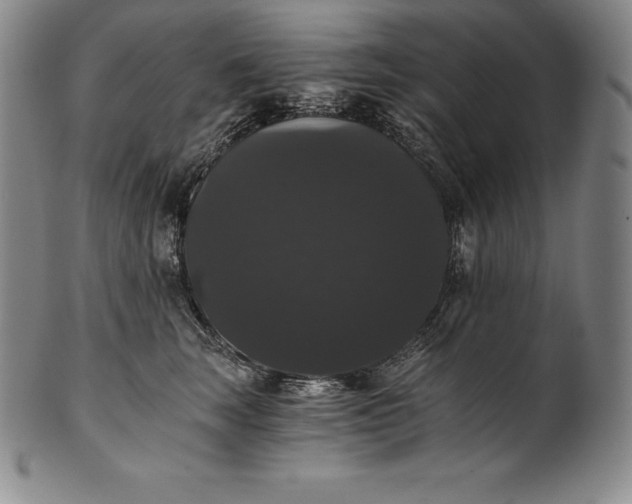 X0000102240663200808081437