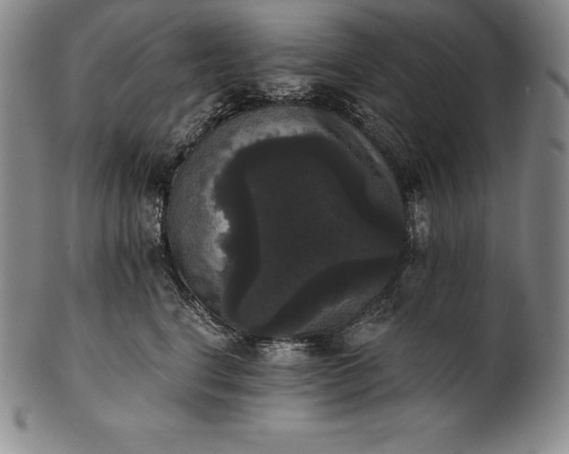 X0000102240664200808081437