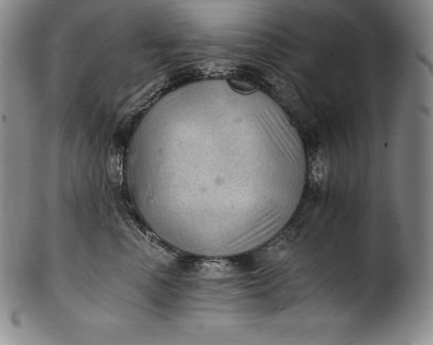 X0000102240666200808081437