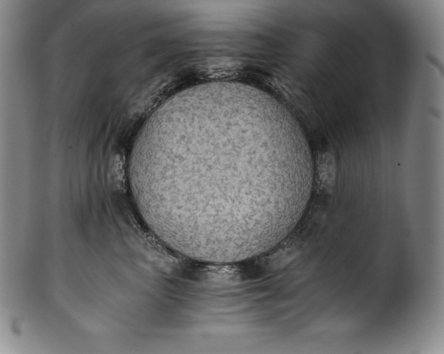 X0000102240667200808081437