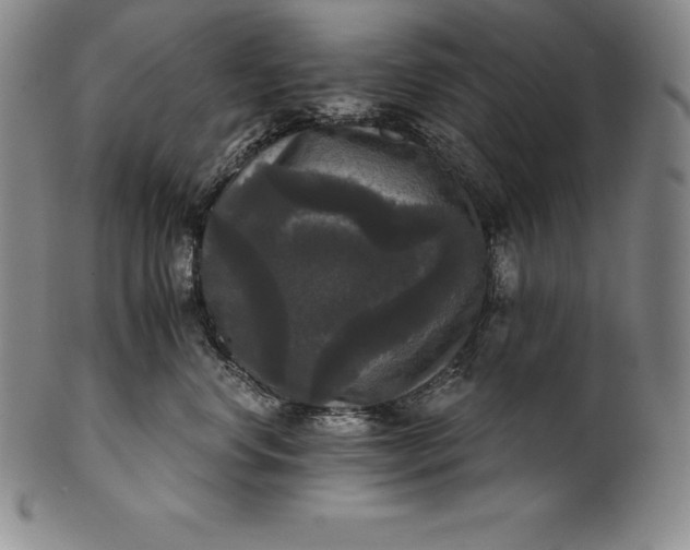 X0000102240668200808081437