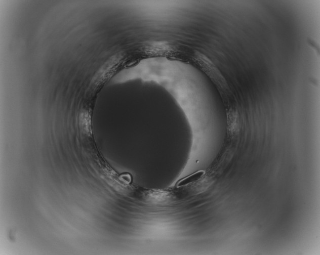 X0000102240669200808081437