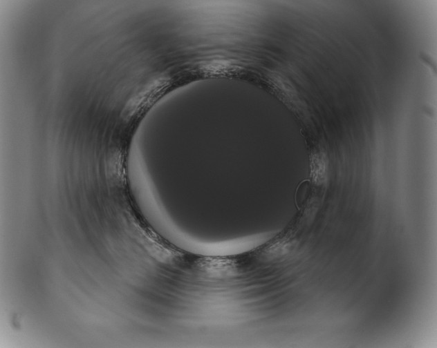 X0000102240670200808081437